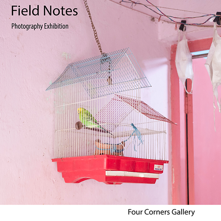 People looking at photography in a gallery.